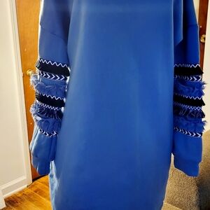 Blue Dress with Ruffled Sleeves